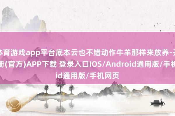 体育游戏app平台底本云也不错动作牛羊那样来放养-开云注册(官方)APP下载 登录入口IOS/Android通用版/手机网页