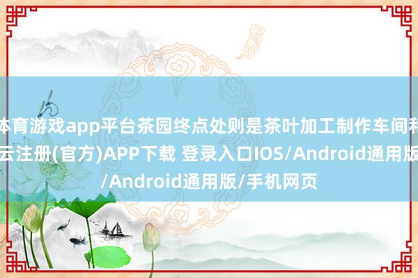 体育游戏app平台茶园终点处则是茶叶加工制作车间和品茶区-开云注册(官方)APP下载 登录入口IOS/Android通用版/手机网页