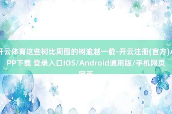 开云体育这些树比周围的树逾越一截-开云注册(官方)APP下载 登录入口IOS/Android通用版/手机网页