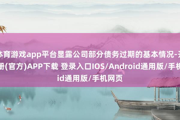 体育游戏app平台显露公司部分债务过期的基本情况-开云注册(官方)APP下载 登录入口IOS/Android通用版/手机网页