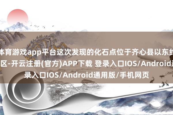 体育游戏app平台这次发现的化石点位于齐心县以东约20公里的窑平地区-开云注册(官方)APP下载 登录入口IOS/Android通用版/手机网页