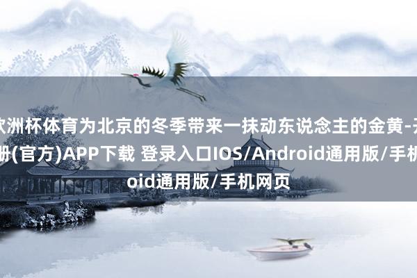 欧洲杯体育为北京的冬季带来一抹动东说念主的金黄-开云注册(官方)APP下载 登录入口IOS/Android通用版/手机网页