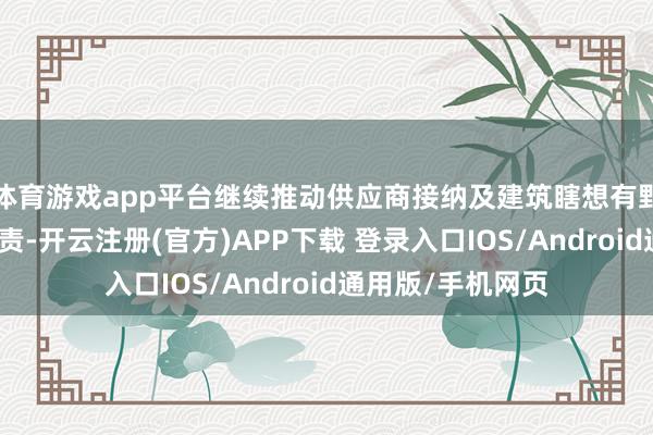 体育游戏app平台继续推动供应商接纳及建筑瞎想有野心制定完善等职责-开云注册(官方)APP下载 登录入口IOS/Android通用版/手机网页