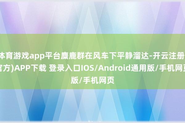 体育游戏app平台麋鹿群在风车下平静溜达-开云注册(官方)APP下载 登录入口IOS/Android通用版/手机网页
