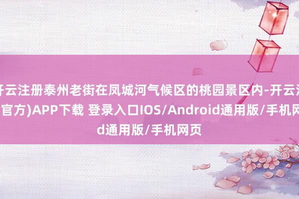 开云注册泰州老街在凤城河气候区的桃园景区内-开云注册(官方)APP下载 登录入口IOS/Android通用版/手机网页
