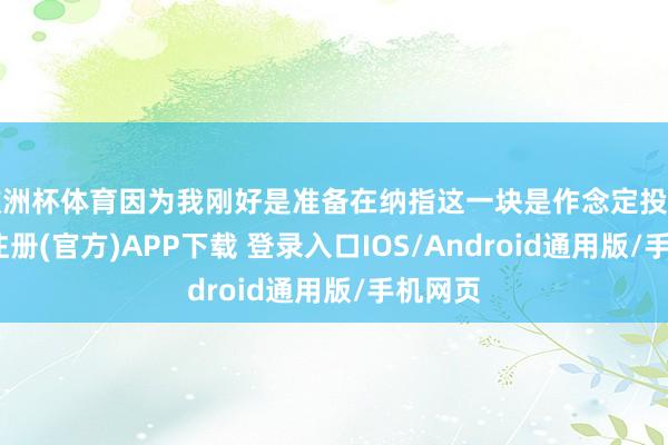 欧洲杯体育因为我刚好是准备在纳指这一块是作念定投的-开云注册(官方)APP下载 登录入口IOS/Android通用版/手机网页